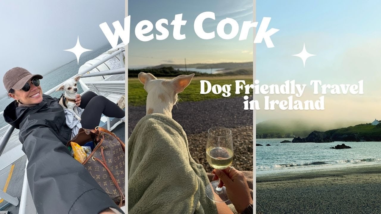 Dog Friendly West Cork Travel Vlog, The Little Island Resort, Cape Clear, Schull, Ballydehob & more