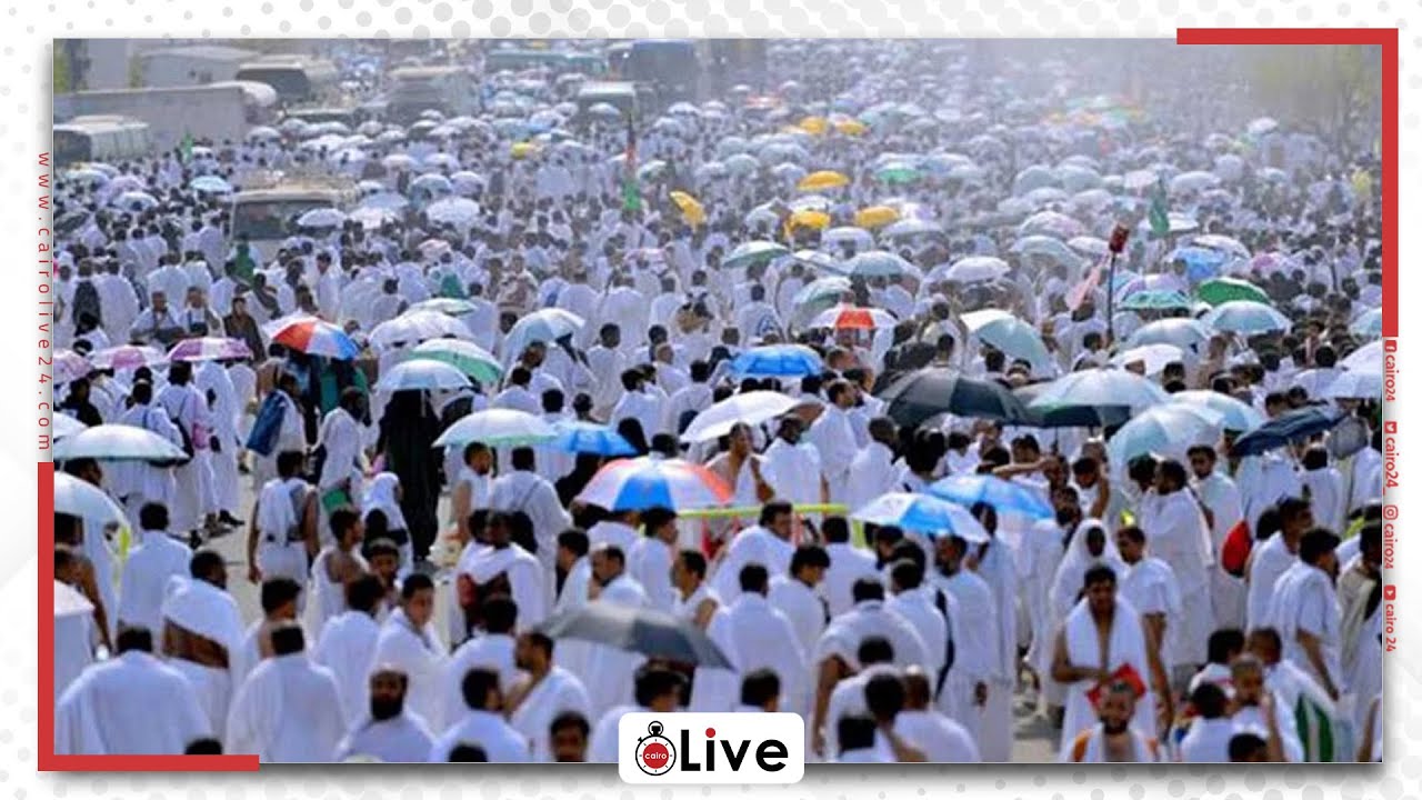 استقبال الحجاج المصريين في المدينة المنورة بأناشيد رائعة