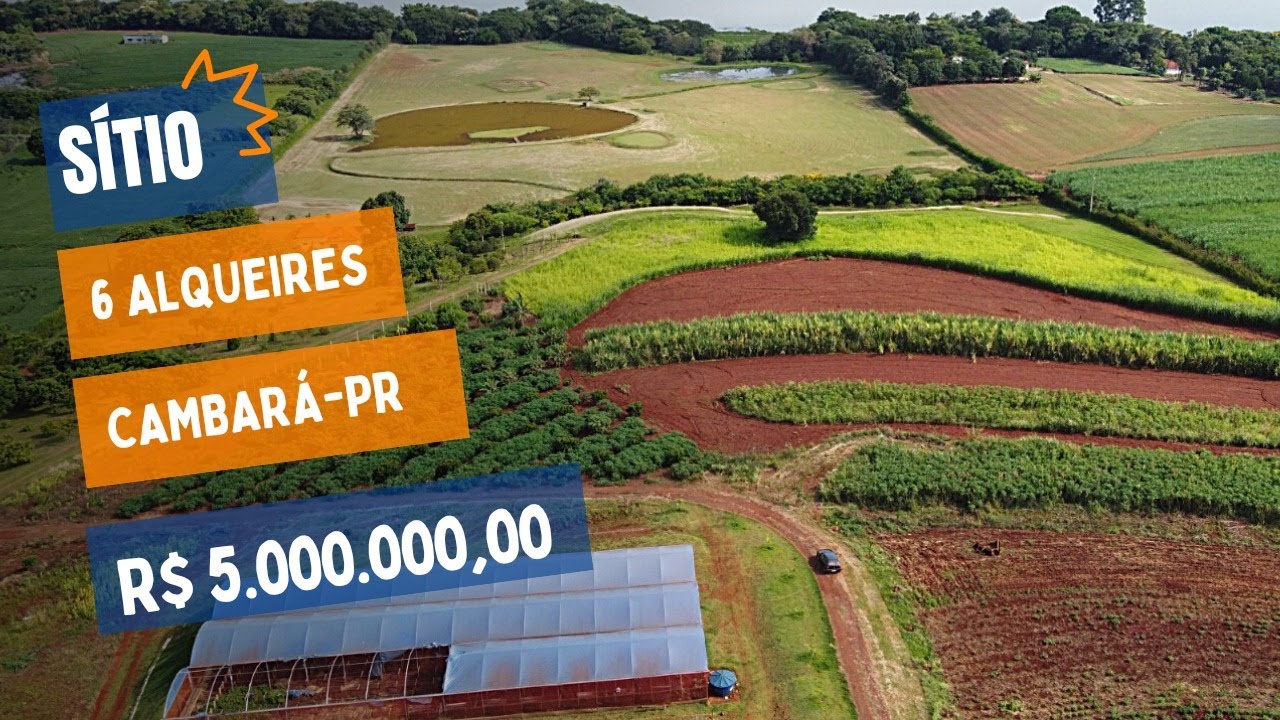 A038 - SITIO CAMBARÁ MARGENS DO RIO PARANAPANEMA - CASA + ESTUFAS + POMAR E CAMPO DE GOLF -