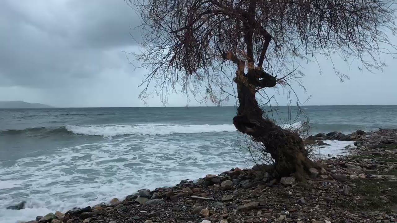 Huzur... Deniz, yağmur ve dalgalar.. 