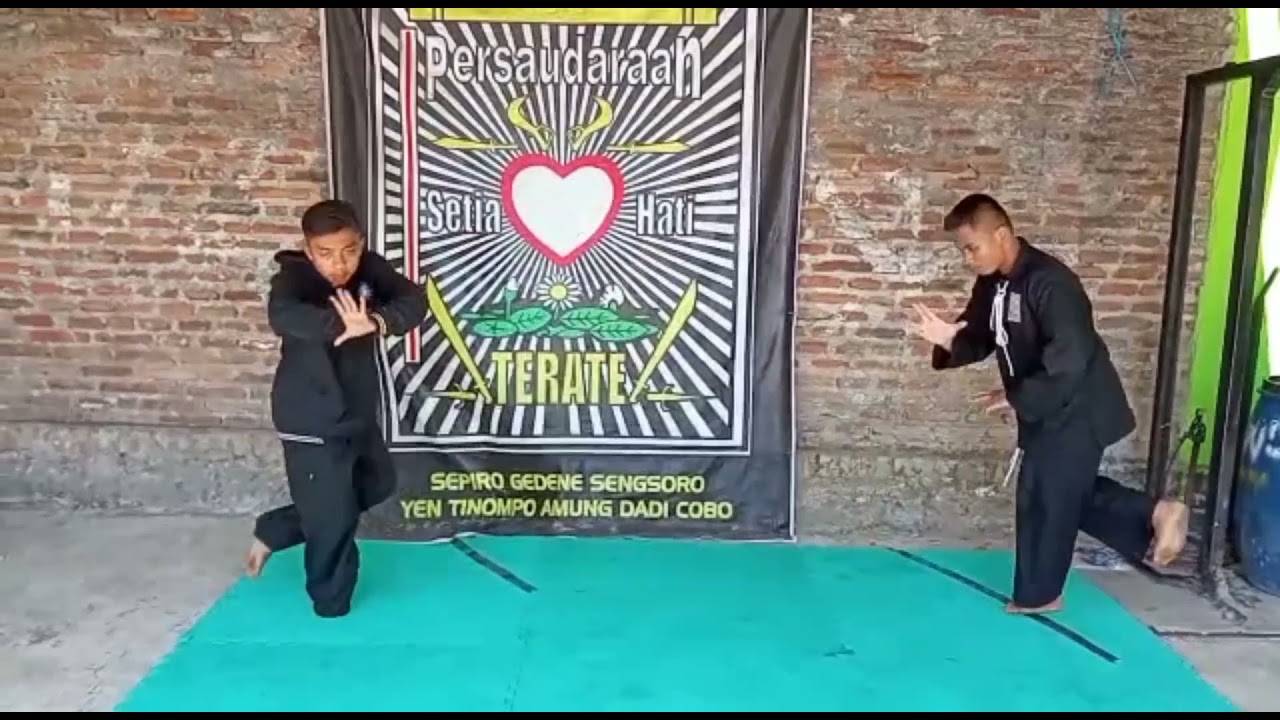 belajar seni tanding pencak silat pemula. #psht #pshtdunia #tanding #pencaksilat #ipsi