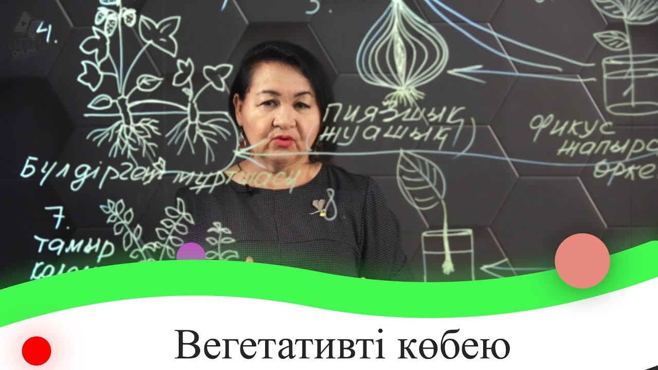 Вегетативті көбею. 1 бөлім. 7 сынып.