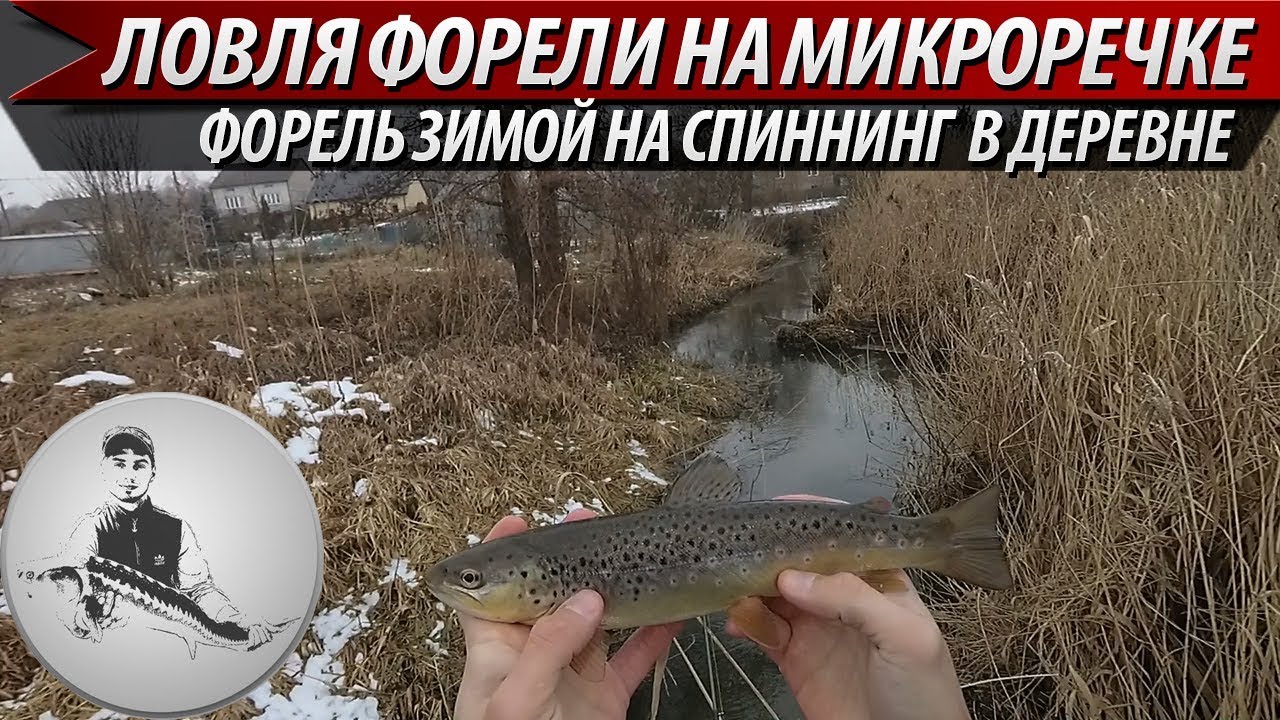 Ловля форели на микроречке в деревне. Ручьевая форель в небольшом ручье