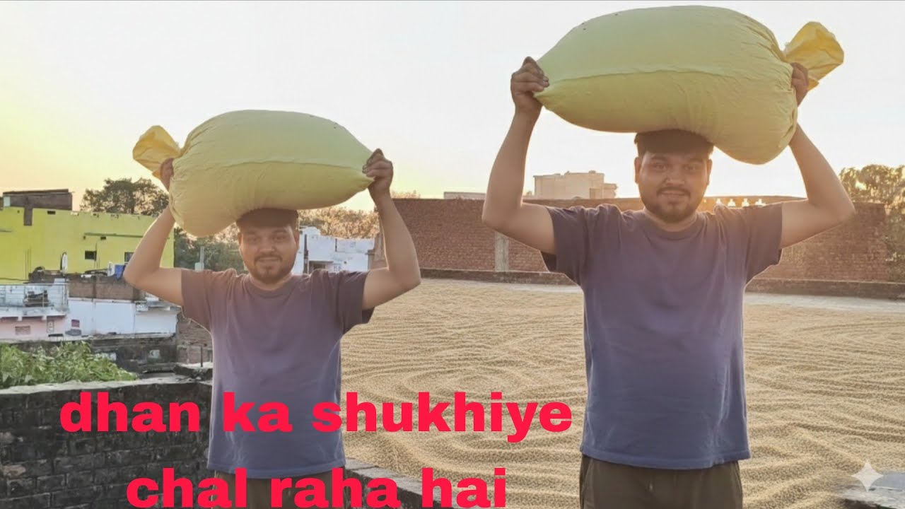 Dhan ka shukhiye chal raha hai|| #villagevlog  #vilagelifestyle #2026 |full vlogs|