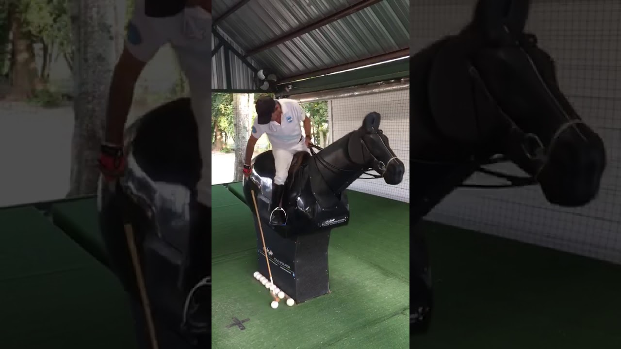 Electric Polo Horse to Stick and Ball
