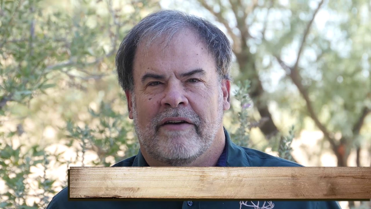 Arizona Elk Society Long Valley Riparian Restoration 2017