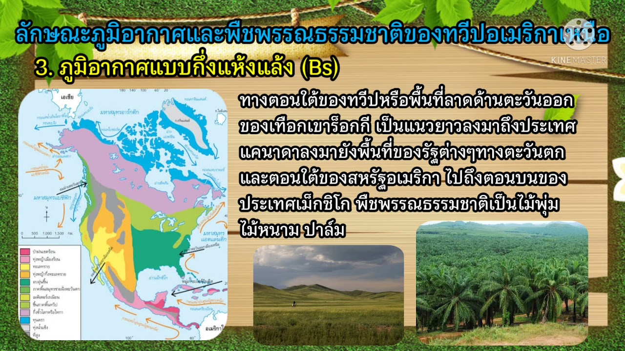 ภูมิศาสตร์ทวีปอเมริกาเหนือ เรื่อง ลักษณะภูมิอากาศและพืชพรรณธรรมชาติของทวีปอเมริกาเหนือ
