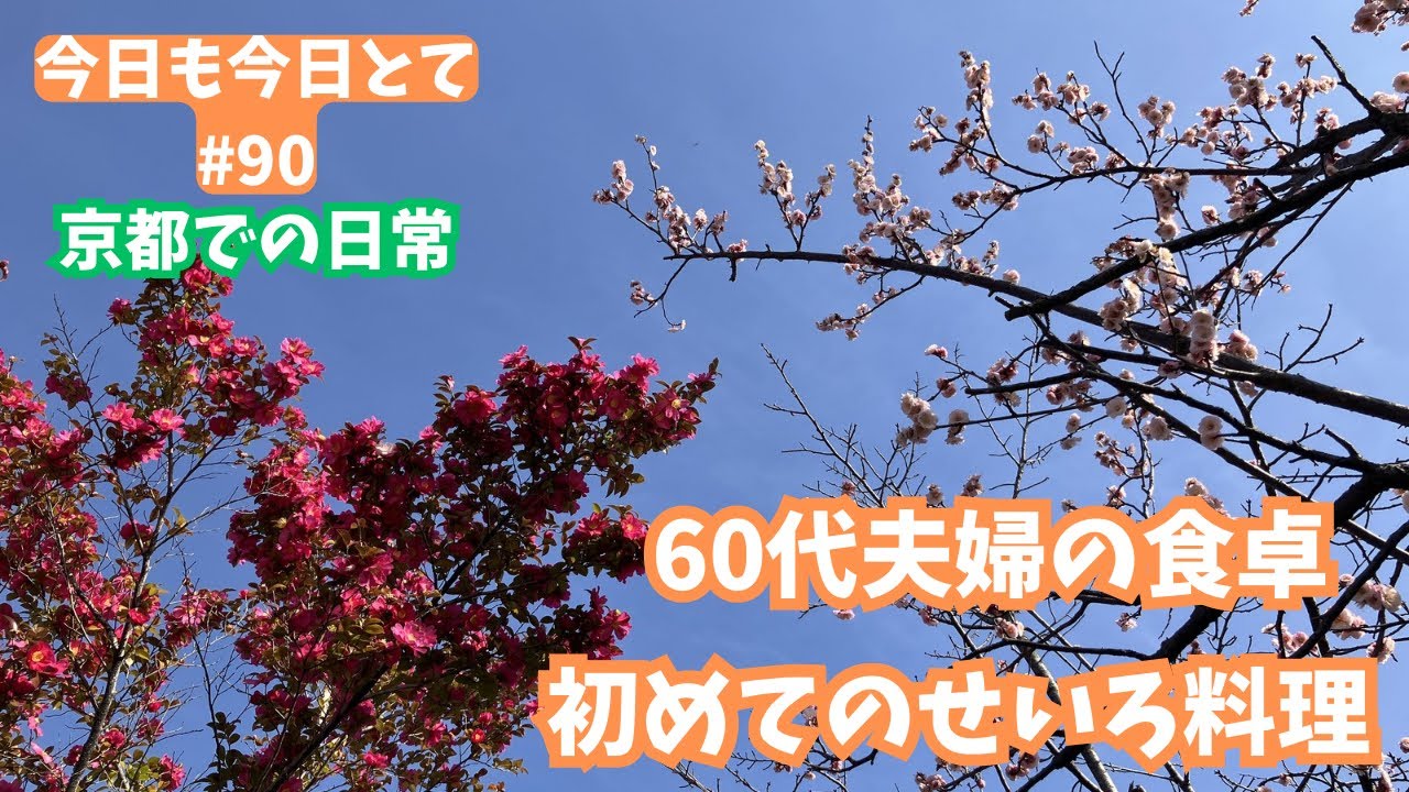 【京都60代主婦】夫のお弁当/YouTubeの話/京都神泉苑の春