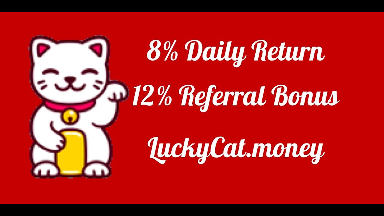 Earn 8% on MULTI Chains | Lucky Cat Miner | High Risk | Mr. Zuni