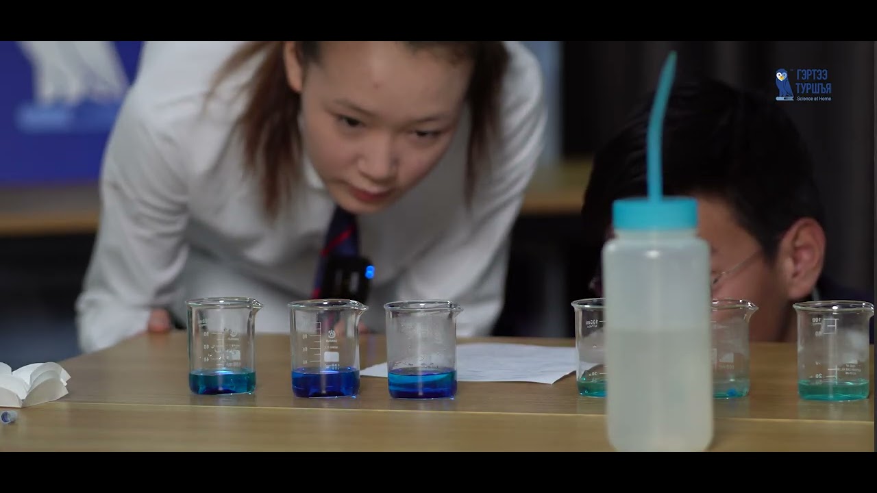 Science Fair 2024 - 9-р анги