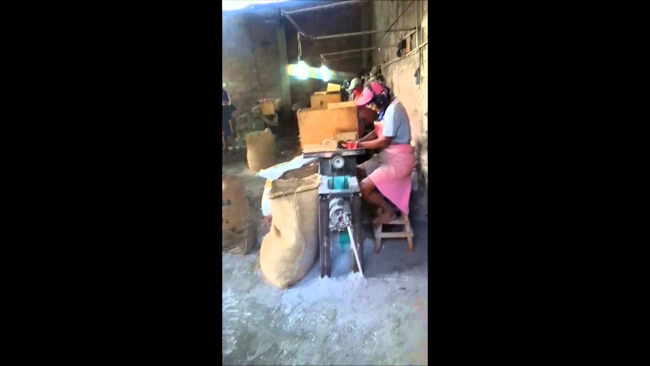 Elaboracion Artesanal De Animelas De Tagua Manta-Ecuador