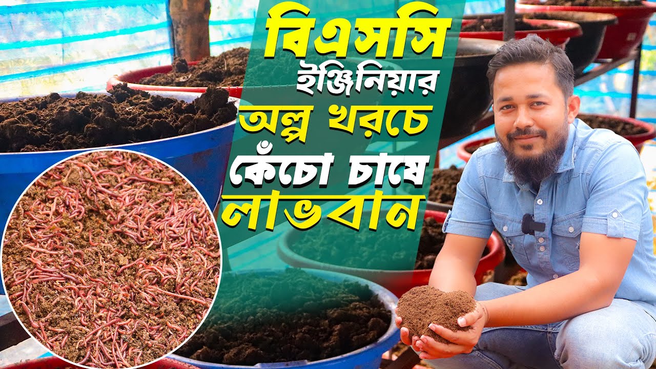 অল্প খরচে কেঁচো এবং ভার্মি কম্পোস্ট সার তৈরি করে লাভবান হচ্ছে ইঞ্জিনিয়ার নাঈম | Vermicompost at Home
