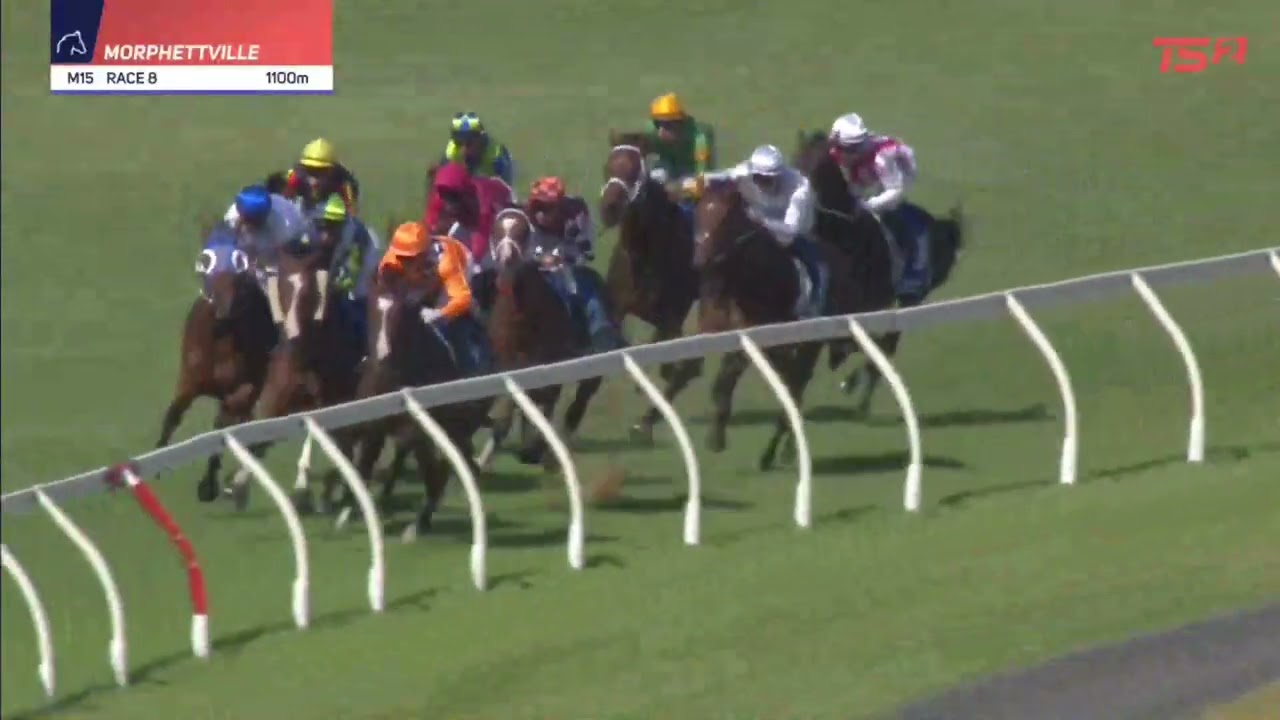Durbridge Stakes 2025 - PRAIRIE FLOWER (3YO+ WFA LR) Listed Morphettville 25 January