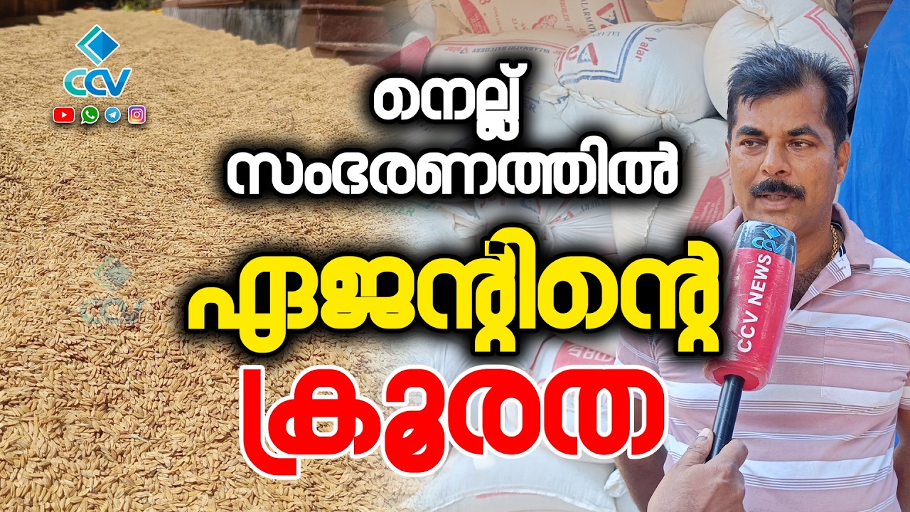 വിളയിച്ച നെല്ല് എടുക്കാൻ കമ്മീഷൻ വേണം! ഏജന്റിന്റെ പീഡനത്തിൽ പൊറുതിമുട്ടി കിള്ളിമംഗലത്തെ കർഷകർ