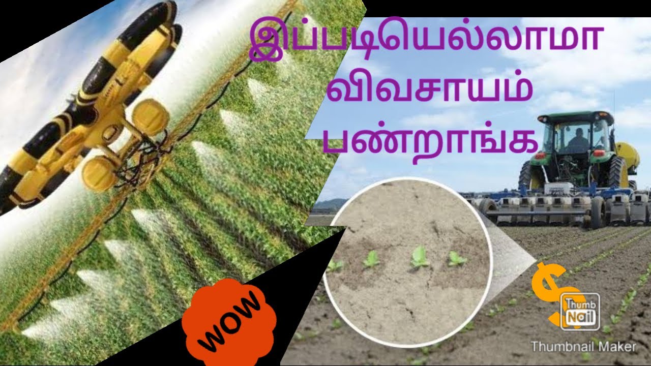 TOP 5 AGRICULTURE IN THE WORLD/GURU VIEWS