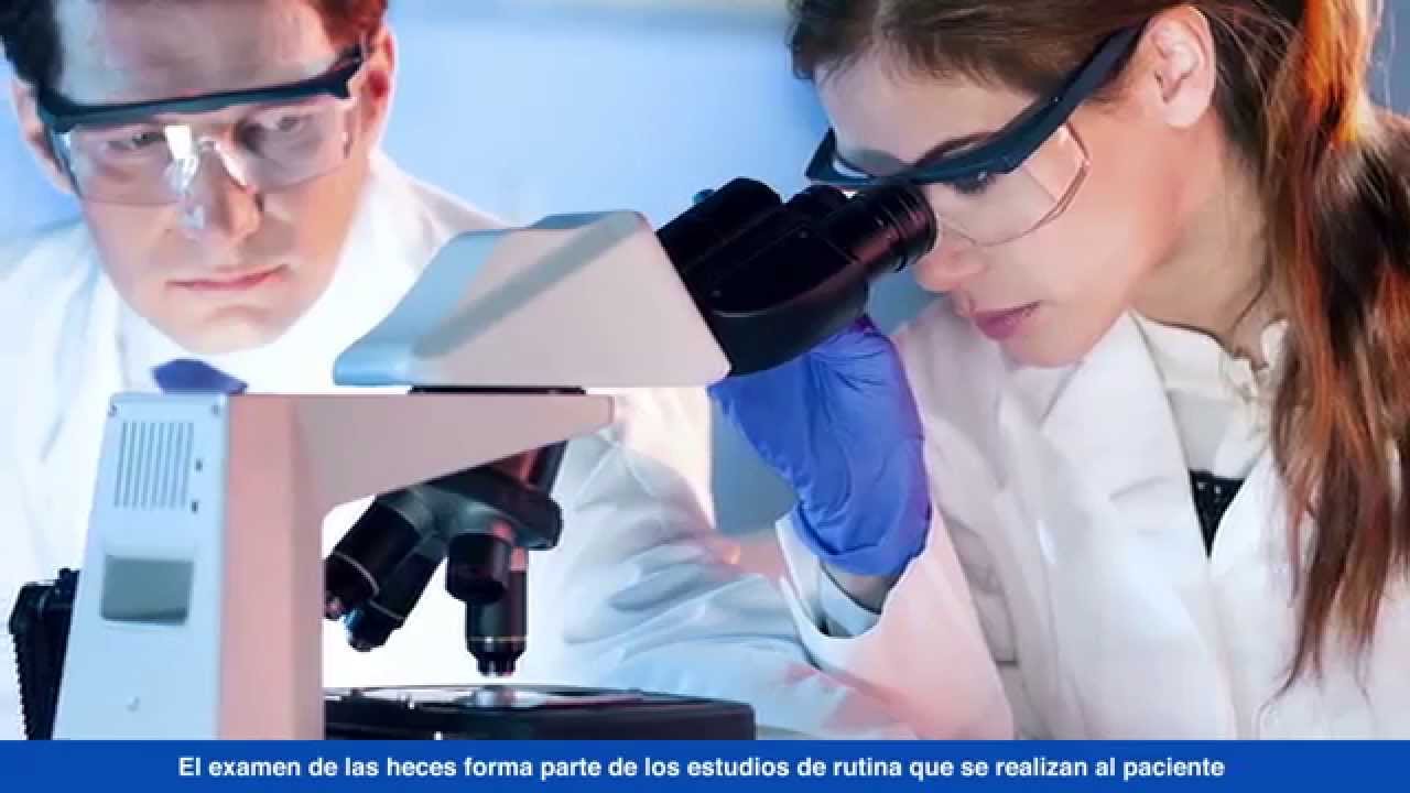 Análisis Coprológico y coproparasitoscópico