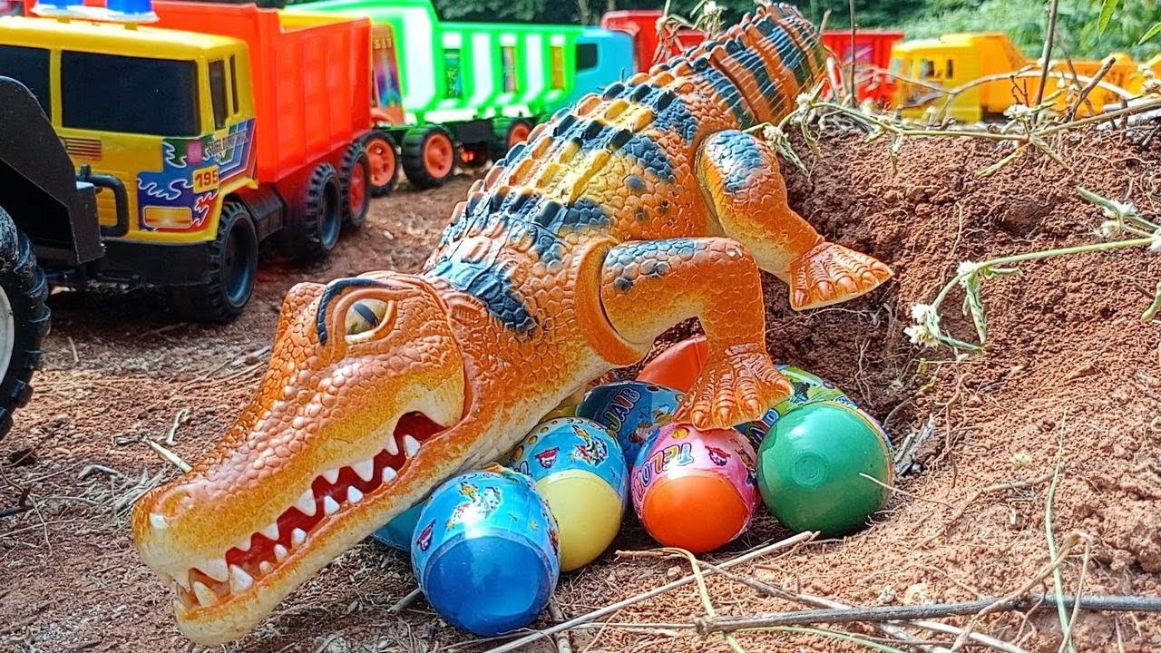 Truk Gandeng menemukan Telur buaya Warna warni