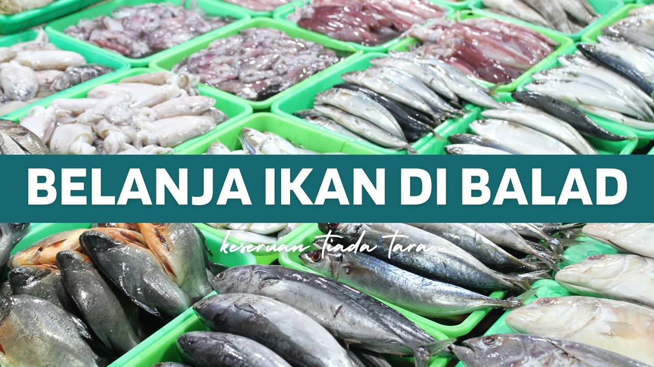 Belanja Ikan di Pasar Ikan Balad Jeddah 🐟 | Fresh & Ramai!