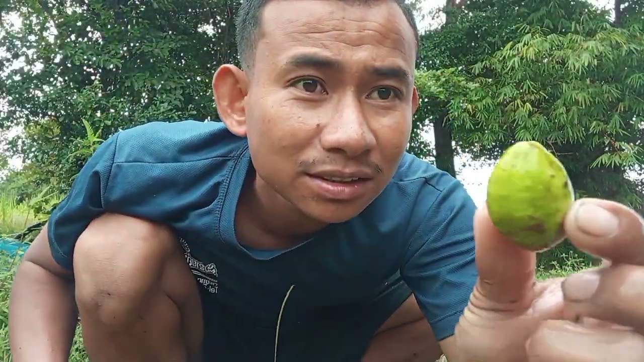 ยามต้อนยามลี่ในห่องนาลอบนี้กะได้หลายยู่จาep2#ຍາມຕ້ອນຍາມລີ່ໃນຫ່ອງນາລອບນີ້ໄດ້ຫຼາຍຢູ່ຈຮາep2