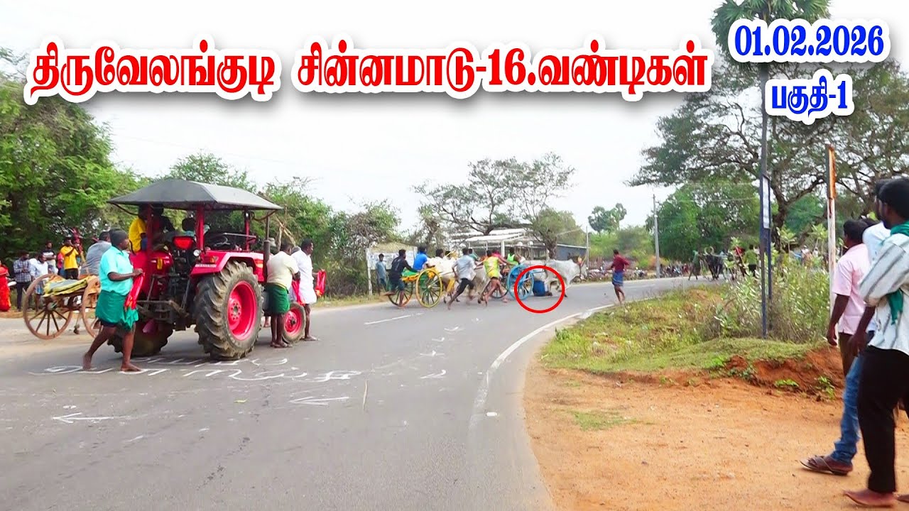 திருவேலங்குடி சின்ன மாடு பகுதி -1  2026. கடைசி சீட்டு எடுத்து எழுகைக்கு முதல் மாடு 
