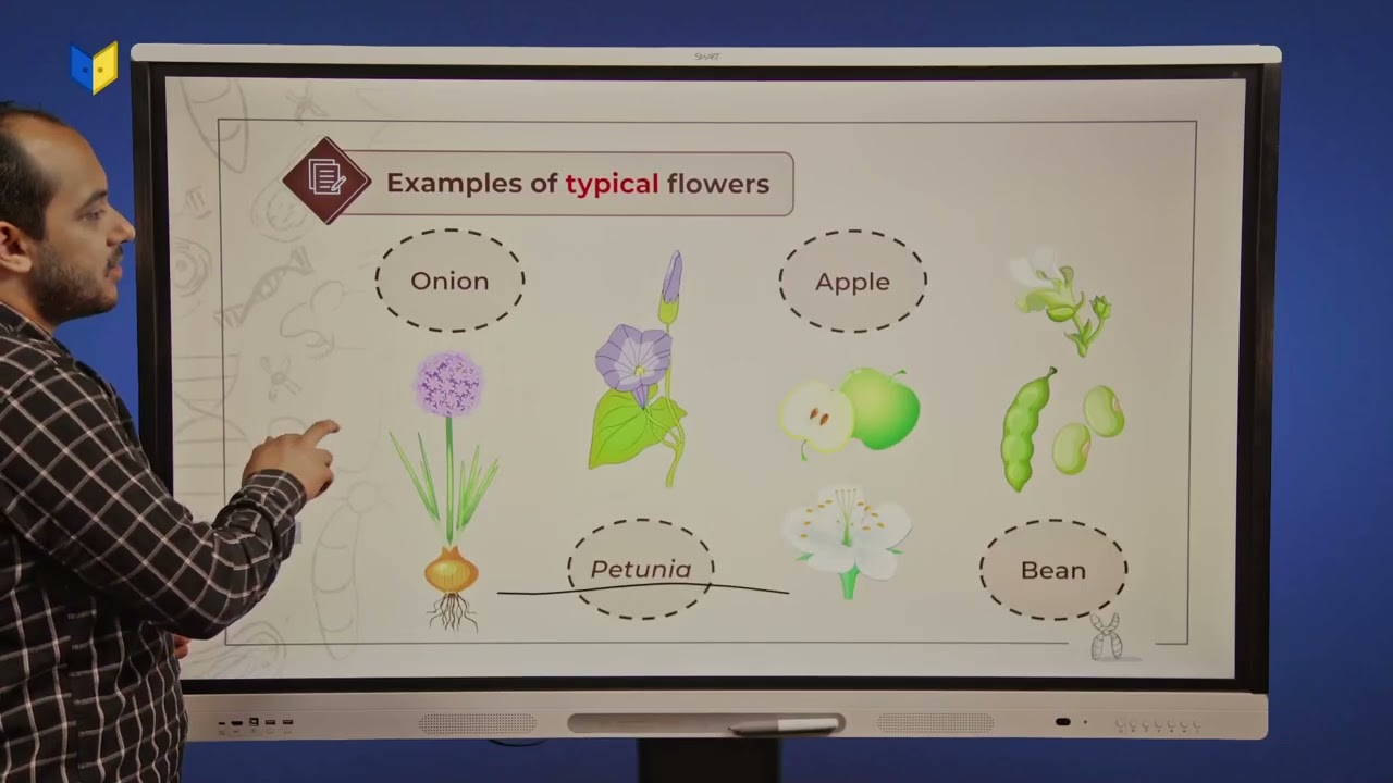 مراجعة Biology  Reproduction تالتة لغات مستر أحمد البربري reproduction in Flowering plant