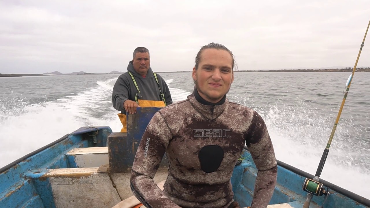 Spearfishing Baja | September Yellowtail