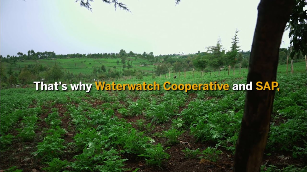 Waterwatch and SAP develop crop disease app