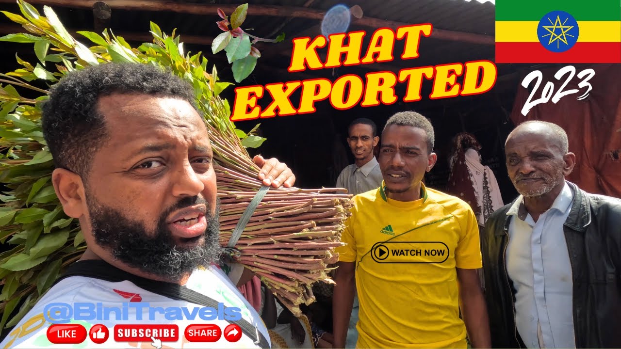 The Shocking Truth About Khat Exporting: Banned Worldwide