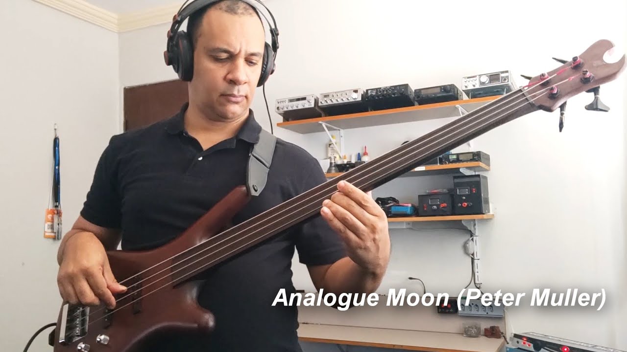 Alamo Bass - Analogue Moon (Peter Muller)