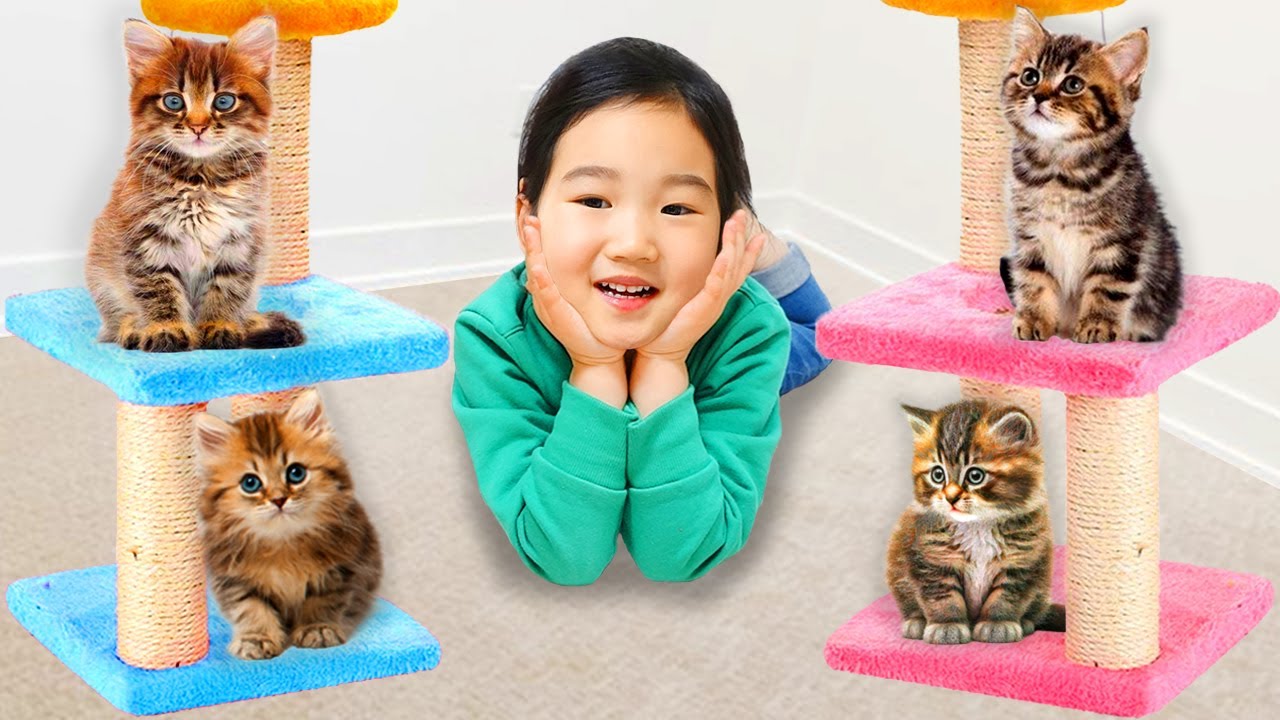 Boram merawat anak kucing | Kumpulan video tentang perilaku yang benar