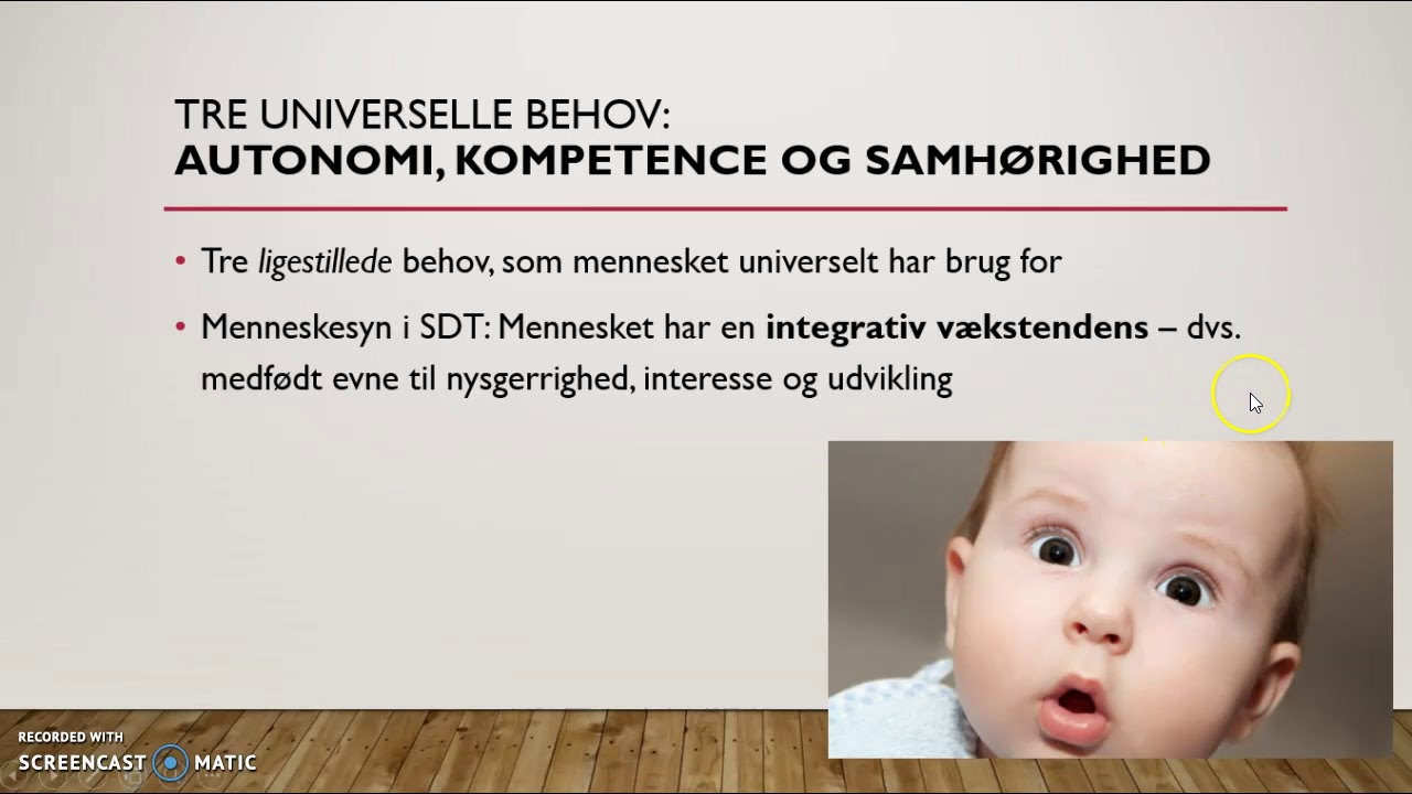 Introduktion til selvbestemmelsesteorien