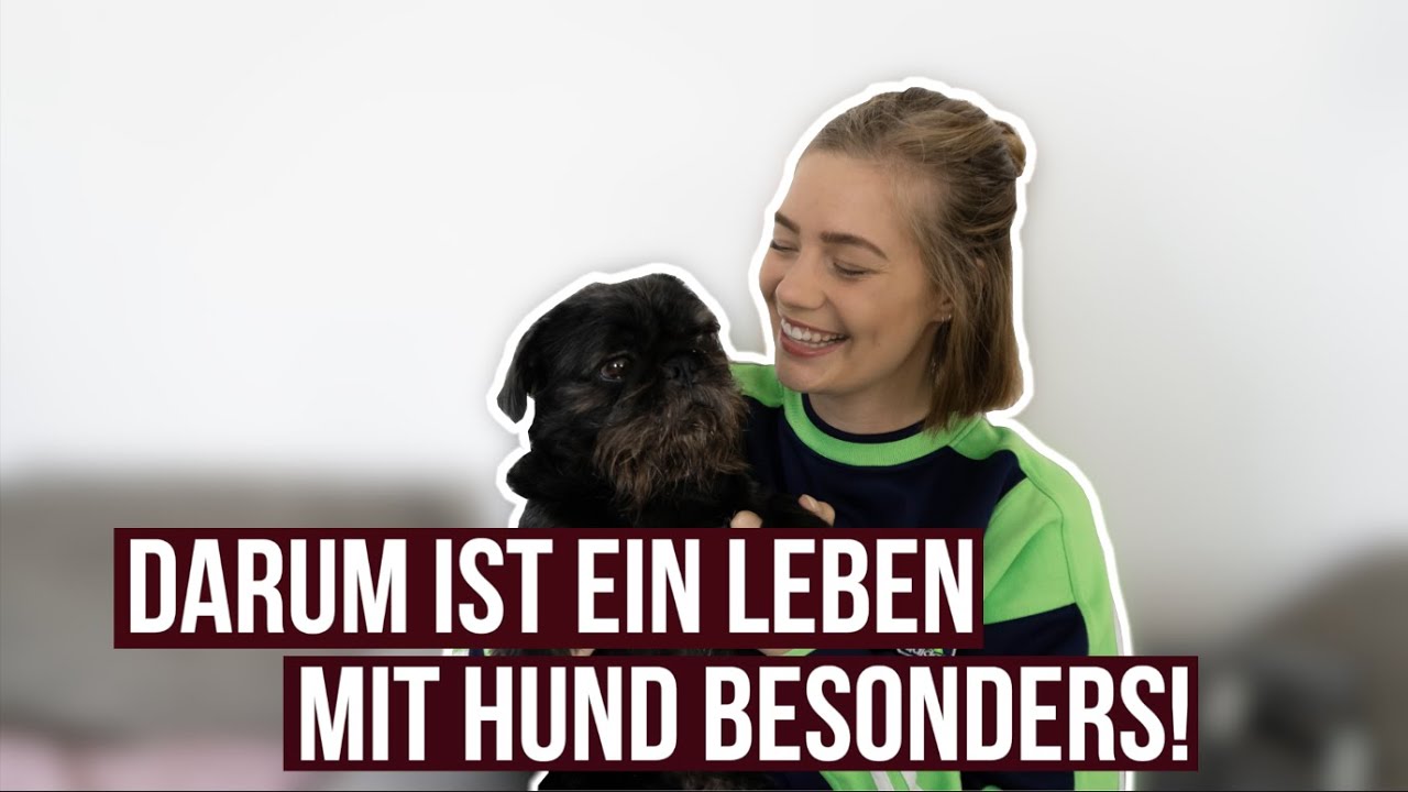 7 GR&Uuml;NDE F&Uuml;R EIN LEBEN MIT HUND | Ein Leben mit Hund ist etwas ganz besonderes!