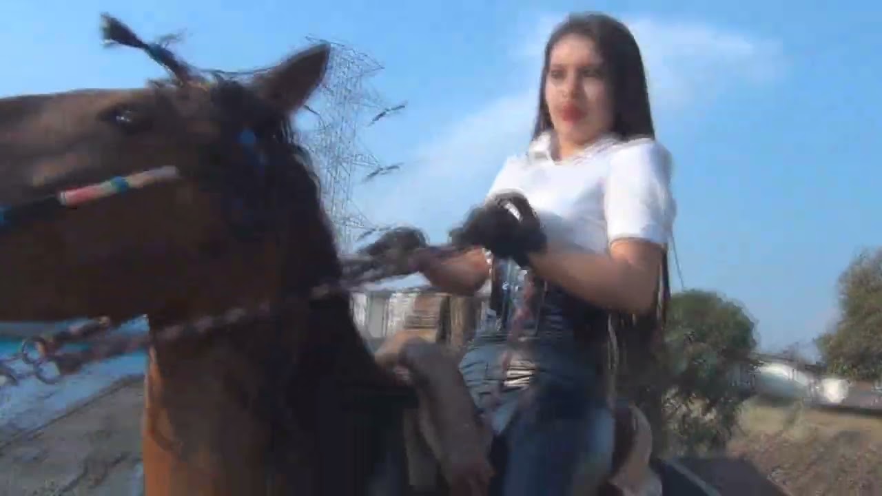 Just imagine U are Horse And your Crush will ride on You 😋 #hardhorse riding 