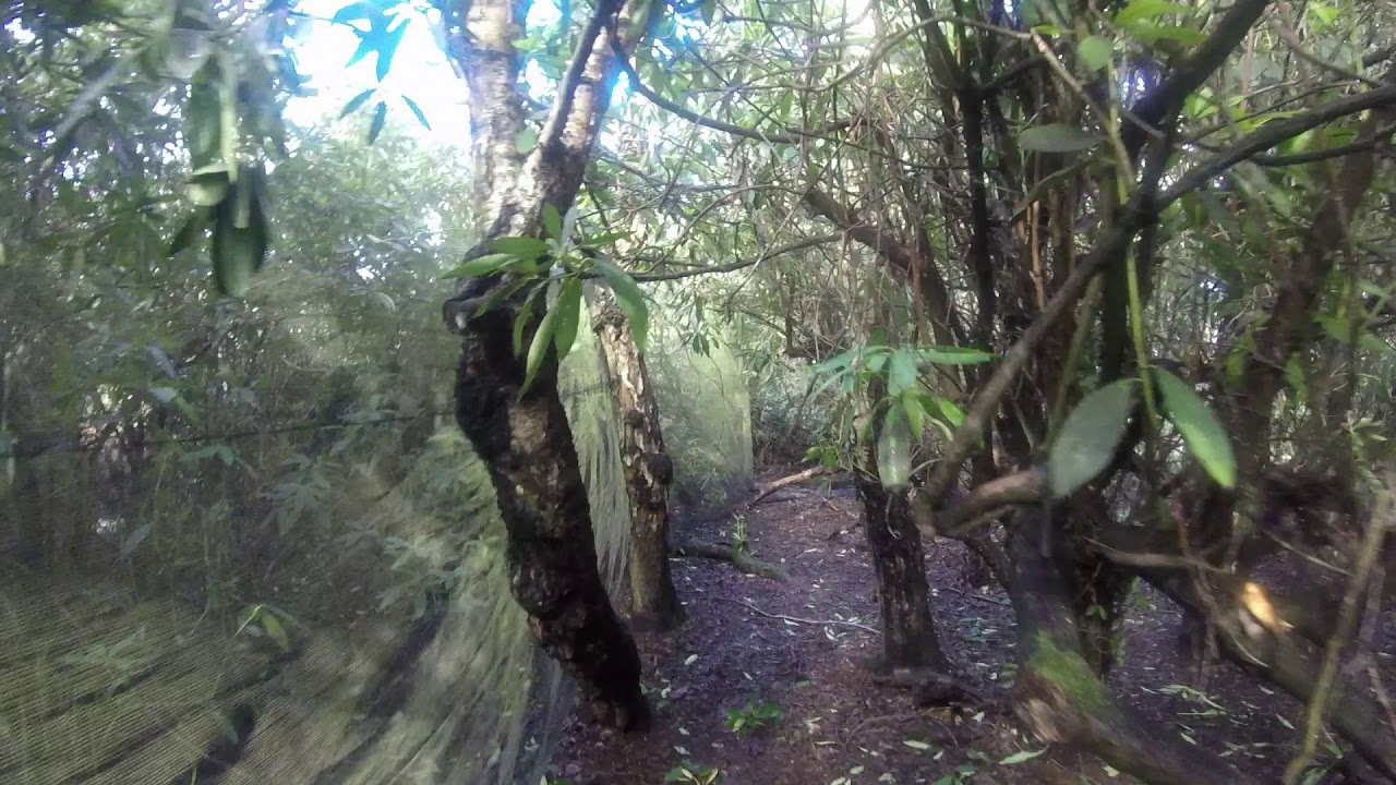 They don't like it up them! Airsoft @ NPF Bassetts Pole