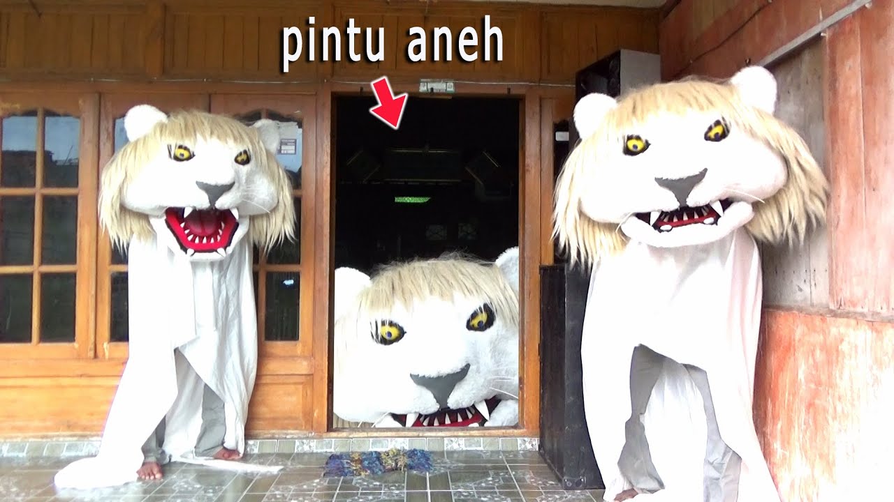 Tiga Barongan singa putih keluar dari pintu aneh