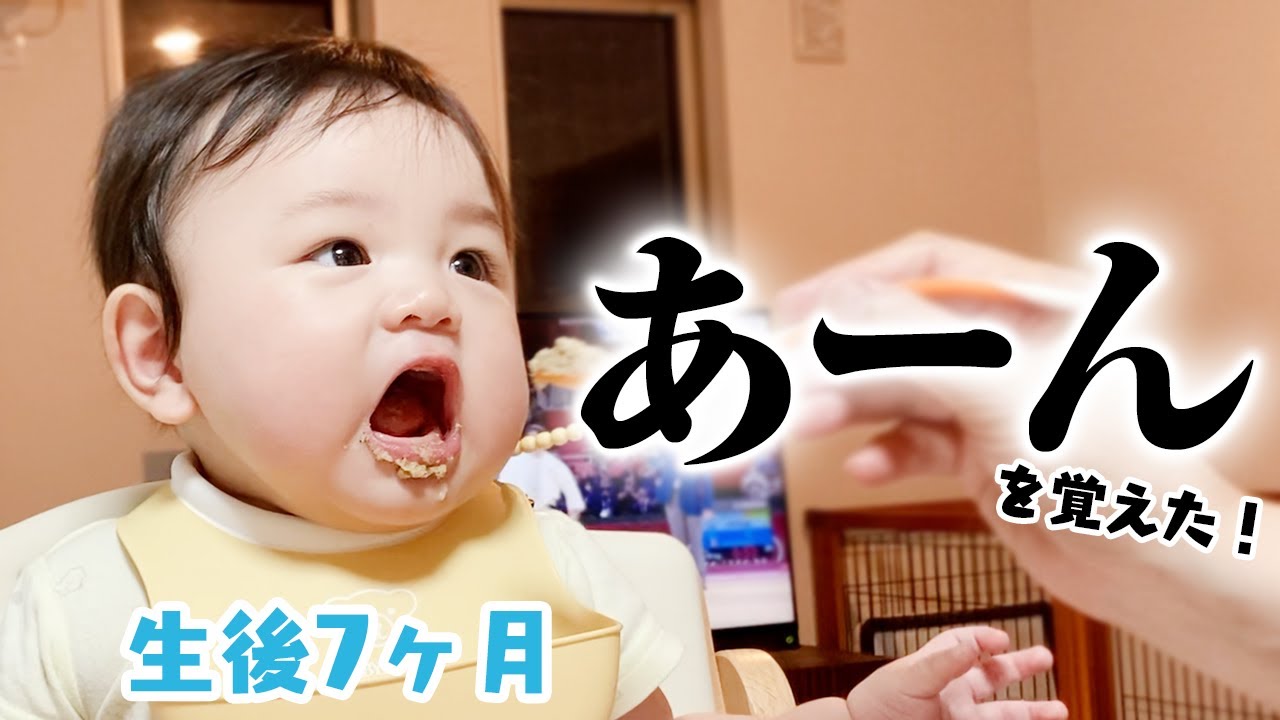 「あーん」できるようになりました【生後7ヶ月】/7 Months-Old Baby Is Getting Better at Eating