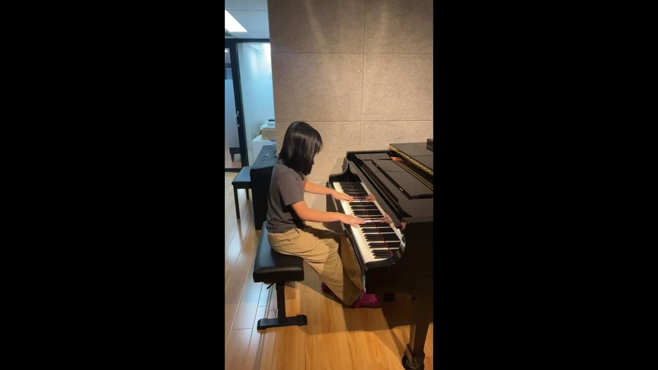 F. Chopin Etude Op. 25 No. 1