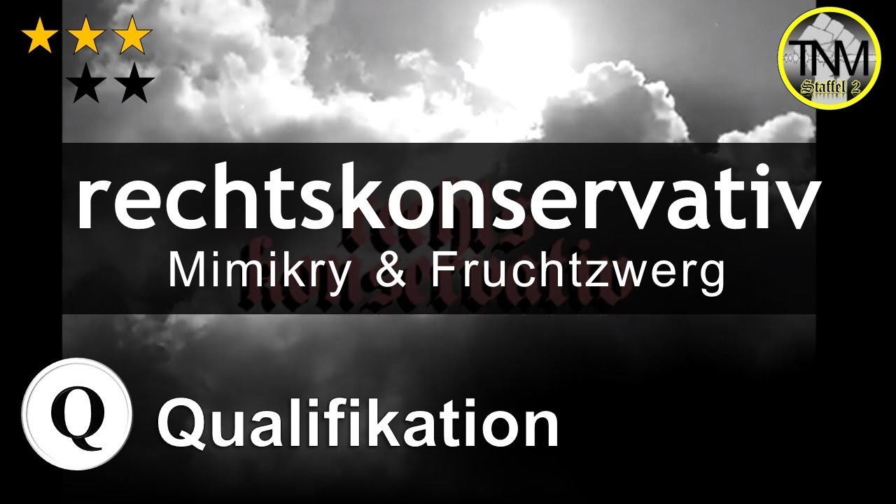 TNM S2 | rechtskonservativ (Mimikry & Fruchtzwerg) | Qualifikation #45 (prod. by tonybeatzz)