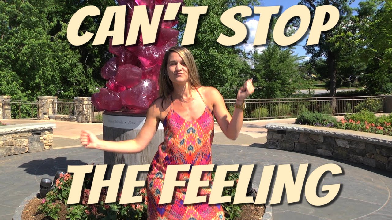 Can't Stop the Feeling! - Justin Timberlake, by the City of Greenville, SC