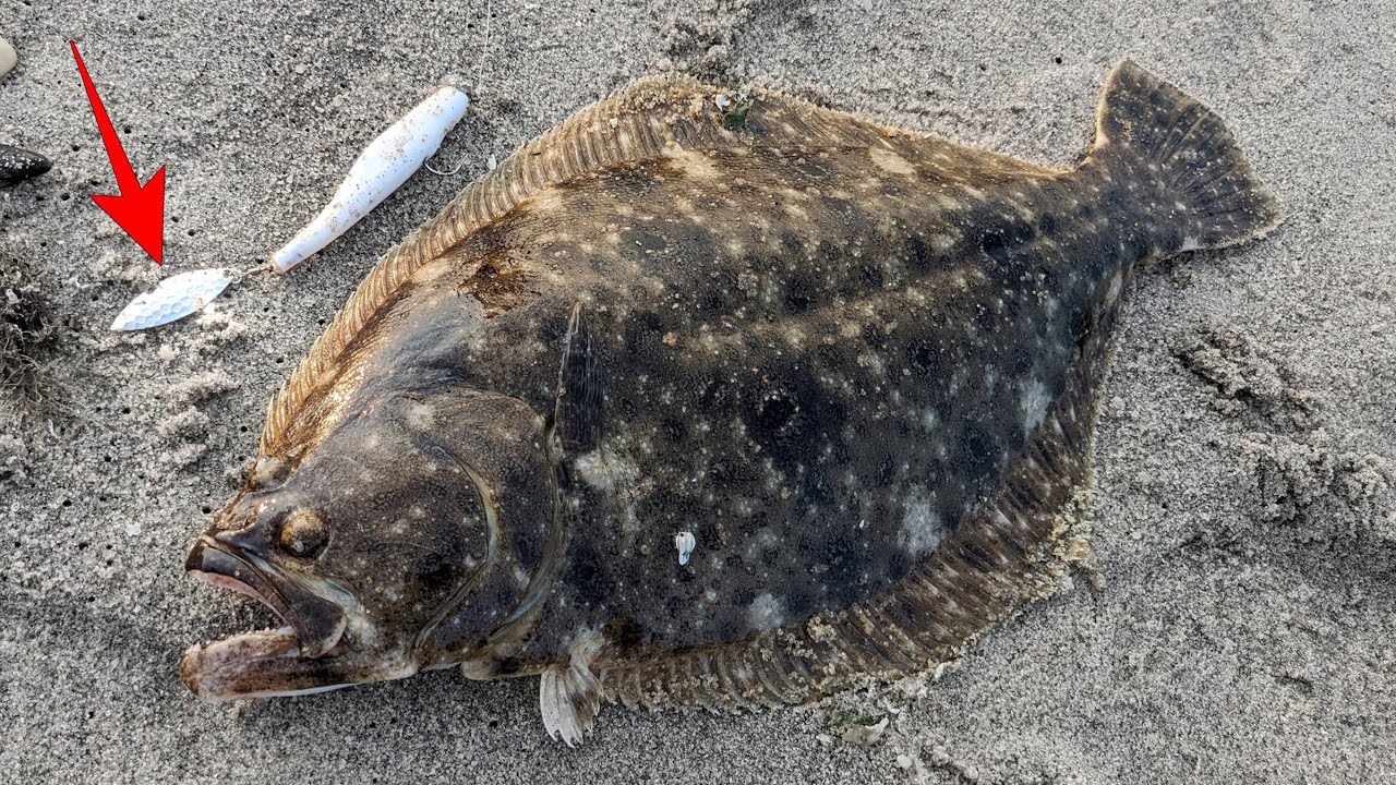Single Jig & Gulp - THE Foundational Fluke Technique, Explained - Flounder Fishing 2025