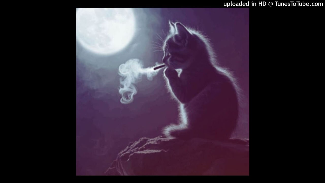 [free for profit] lucki + 1oneam + chill type beat - slick @gx