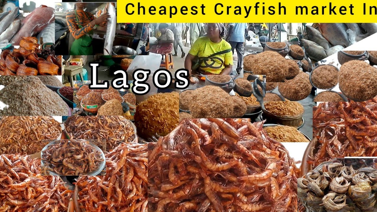 Cheapest Crayfish / Seafood Market In Lagos Nigeria