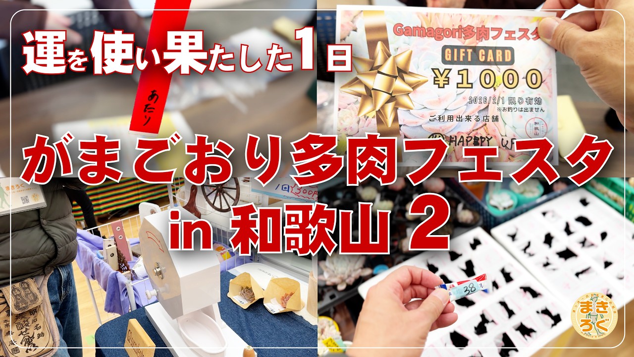 【神回】開場直後の”結婚行進曲”に爆笑w 主催者が仕掛けた和歌山の奇跡！がまごおり多肉フェスタVlog