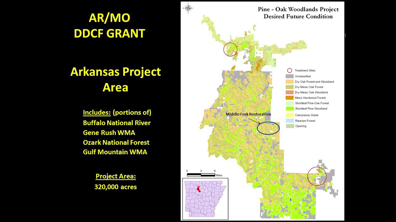 Shortleaf Pine Restoration: Twenty Years of Science and Management in the Western Range.