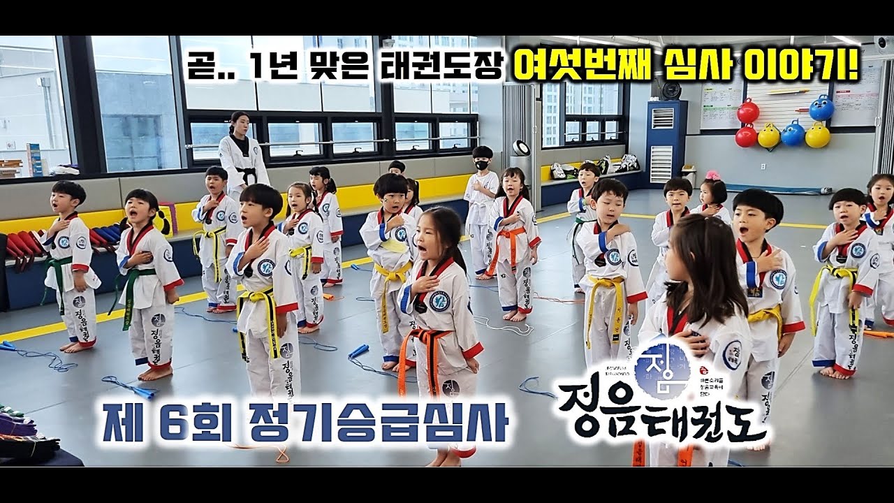 태권도 정기승급심사 전부 다 공개합니다.(Taekwondo regular promotion examination)