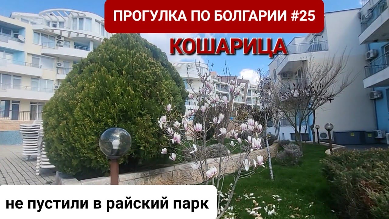 БОЛГАРСКОЕ СЕЛО КОШАРИЦА. ПРОГУЛКА ПО БОЛГАРИИ #25