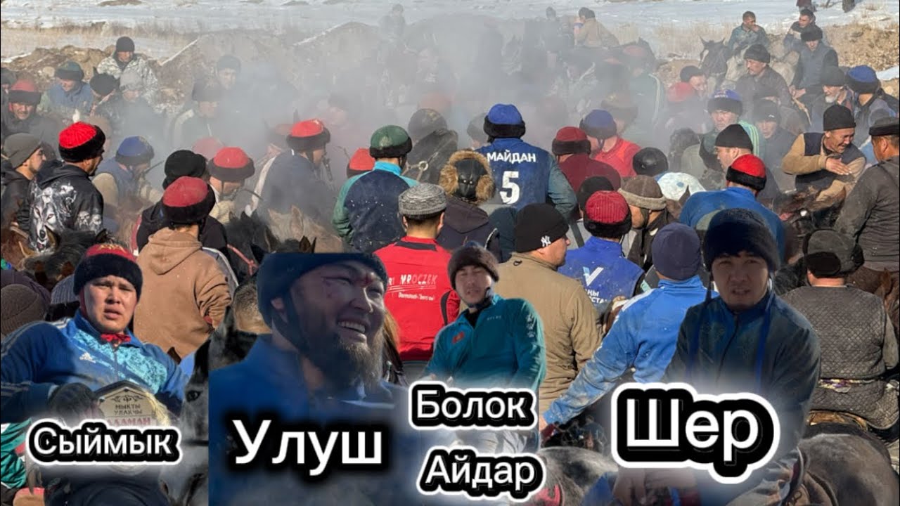 Жаштар кучойуптур кучтуу улак болду жал Ноокат