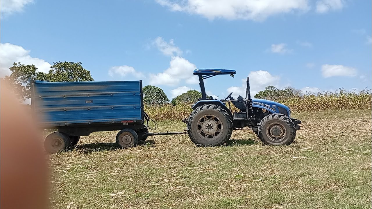 O trator foi fazer a silagem