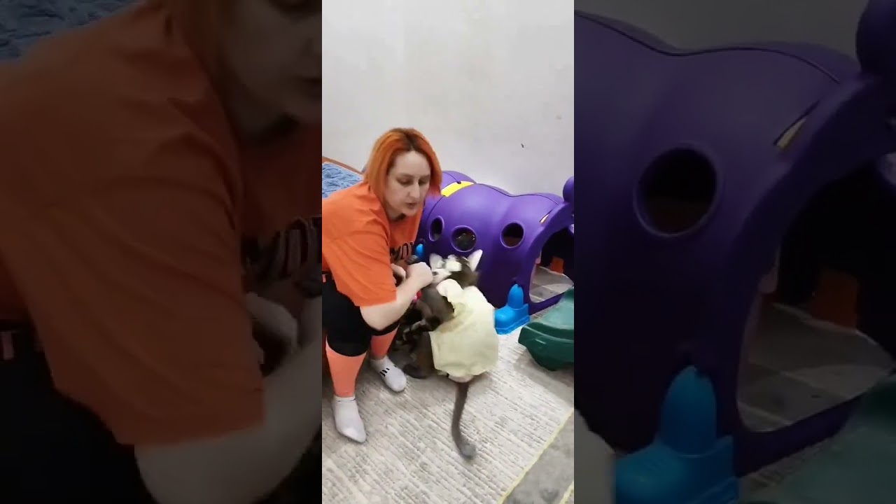 Запись с эфира , 21.02.26г😁