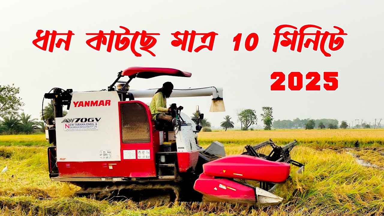ধান কাটতে মাত্র 10 মিনিটে 2025 || ধান কাটার ভিডিও || 